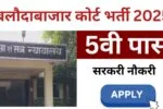Balodabazar Court Vacancy 2025